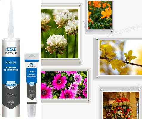 FortiBond Pro Heavy Duty No Nail Adhesive 300mL For All Surfaces